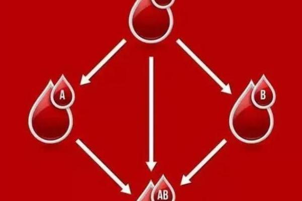 血型人创业要稳当谨慎 血型人创业要稳当谨慎