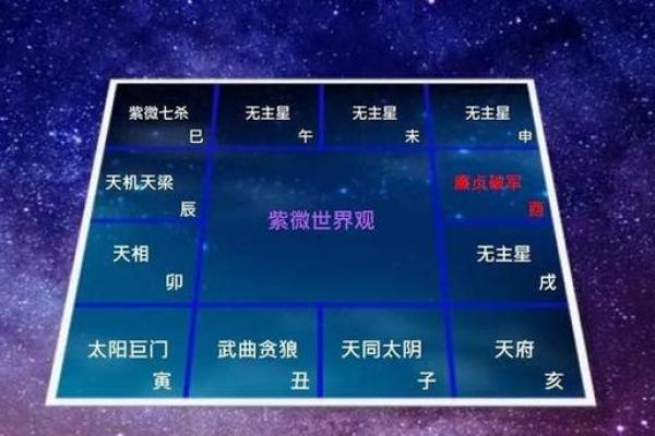 紫薇斗数中的禄存