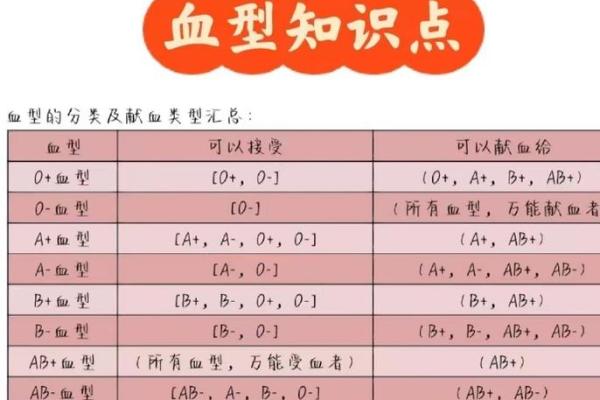 最容易出学霸的血型有哪些呢 最容易出学霸的血型有哪些呢
