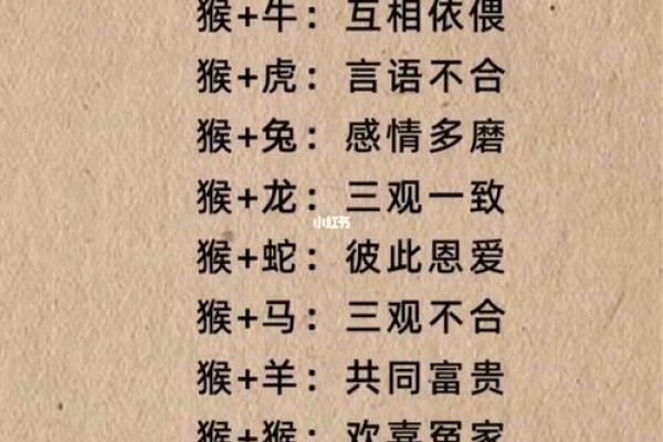 1998女虎婚姻配对 与属马相处融洽生活幸福 1998女虎婚姻配对 与属马相处融洽生活幸福