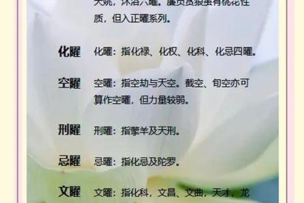 紫薇斗数术语逢