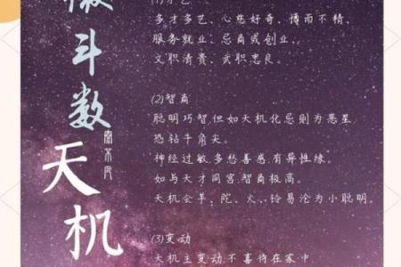 紫薇斗数看创业时机