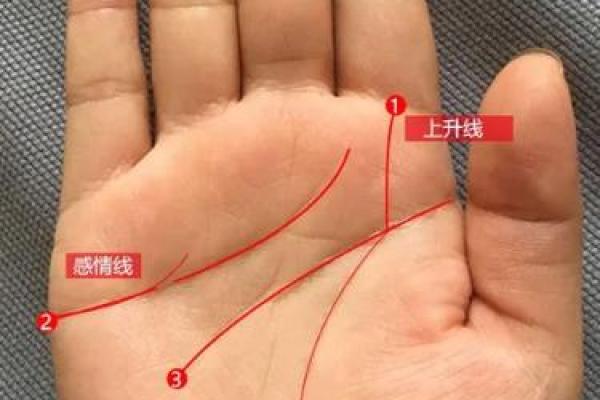 断掌纹看相算命图解