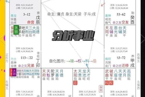 紫微斗数之事业宫与诸星，天机星在事业宫是什么意思？