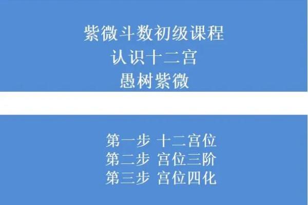 唐艺尹老师：紫薇斗数主星解释