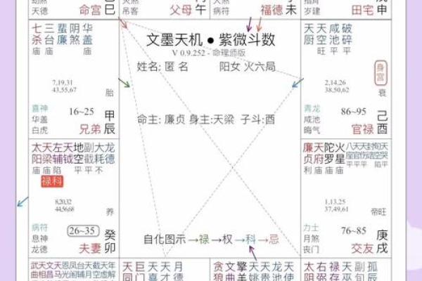 唐艺尹老师：紫薇斗数主星解释