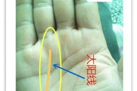 断掌纹看相算命图解