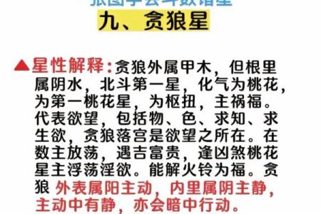 紫微斗数－贪狼星