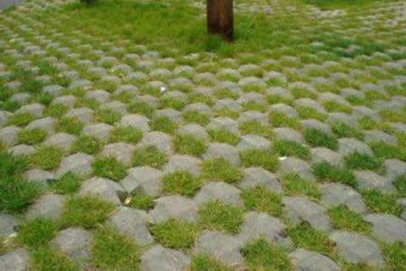 探秘路岩石45度八字，揭秘其独特特点和魅力所在