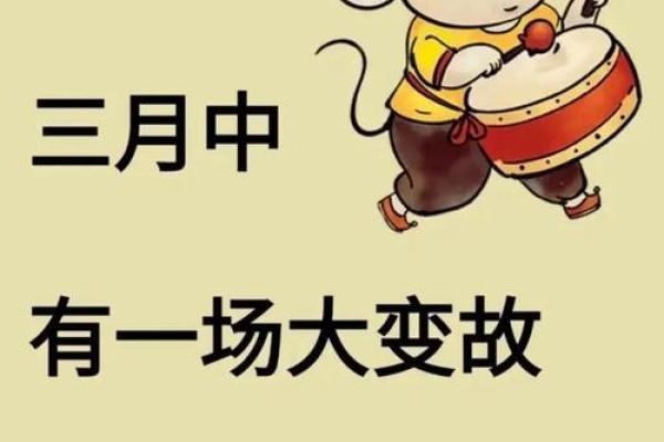 2024年对生肖鼠好不好，属鼠人在2024年的有利方位解析