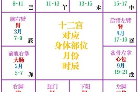 紫微斗数紫薇星在疾厄宫