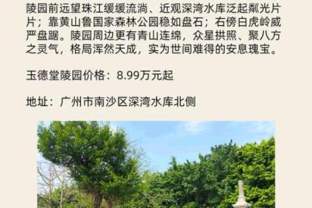 如何选择风水好的公墓详细讲解