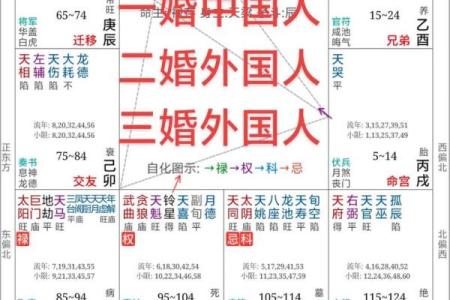 生辰紫微斗数 紫微斗数生辰八字？