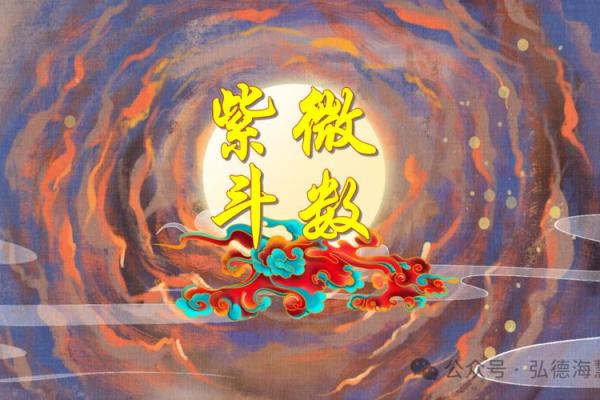 紫薇斗数突破天罗地网