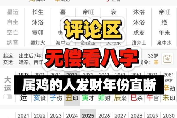 今年运势算命属鸡男 今年运势算命属鸡男