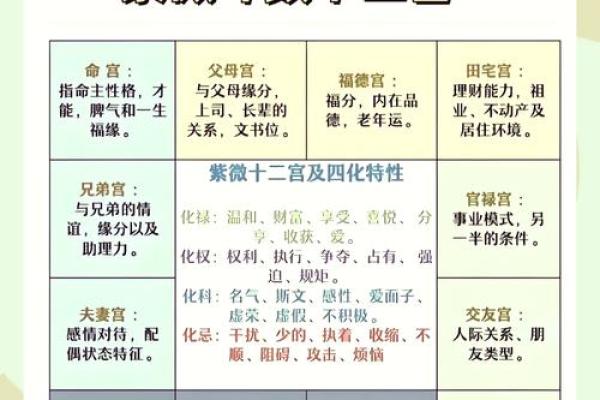 紫薇斗数专业名词 紫薇斗数专业名词