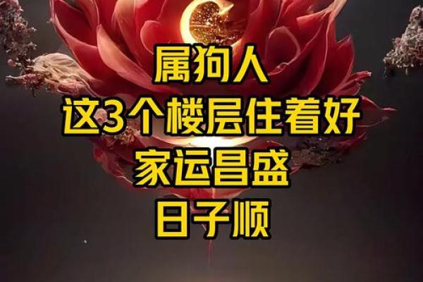 属狗出生最好六个吉日,属狗什么日子出生最好 属狗出生最好六个吉日,属狗什么日子出生最好