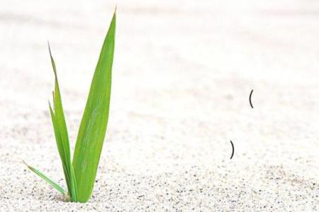 吕祖灵签抽签解签11