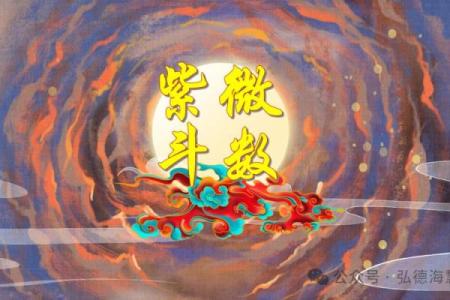 紫薇斗数突破天罗地网