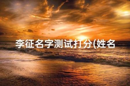 测试打分的名字