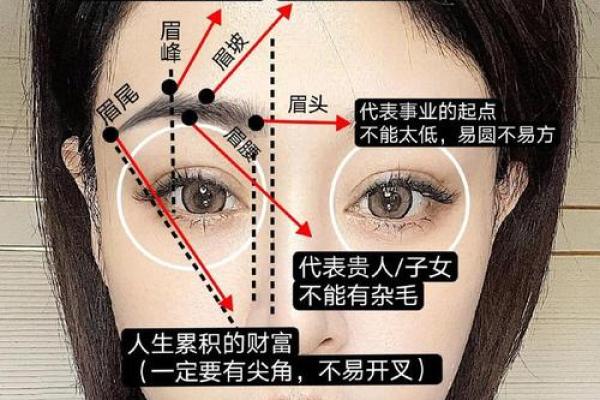 倒八字眉有什么特殊的含义? 倒八字眉有什么特殊的含义?