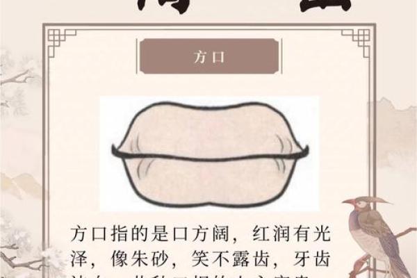 如何从嘴巴看相算命 如何从嘴巴看相算命