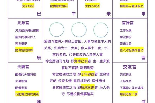 紫薇斗数有什么用