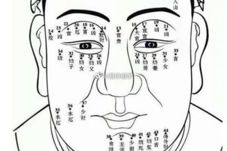 脸的各部位胎记算命详解