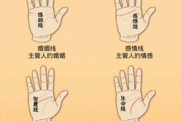 怎样看手纹给自己算命 富贵的手相