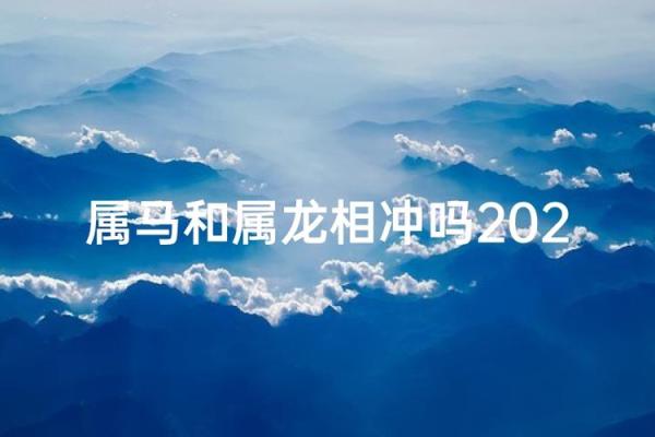 老公属马,老婆属龙,住几层的楼房风水更好? 老公属马,老婆属龙,住几层的楼房风水更好?