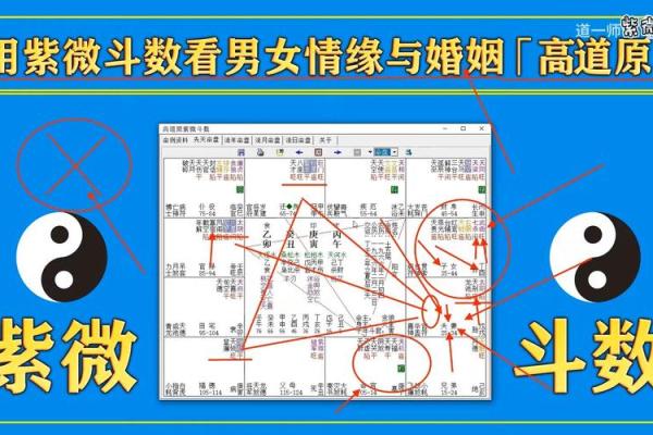紫薇斗数看什么样的男女会结婚 紫薇斗数看什么样的男女会结婚
