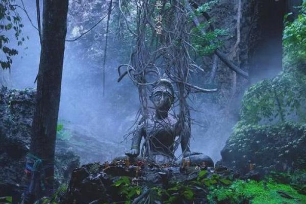 紫薇斗数灵媒 紫薇斗数灵媒