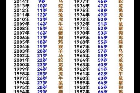 生辰八字取名软件