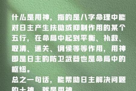 八字喜用神是什么意思