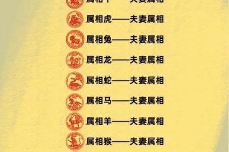 老公属马,老婆属龙,住几层的楼房风水更好？