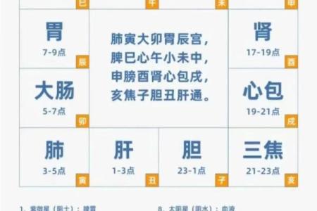 紫薇斗数预示什么