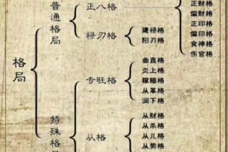 八字福报，解析好命格，预知未来，免费测算