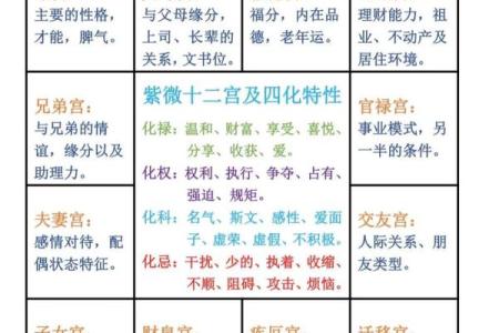 紫薇斗数干的气化