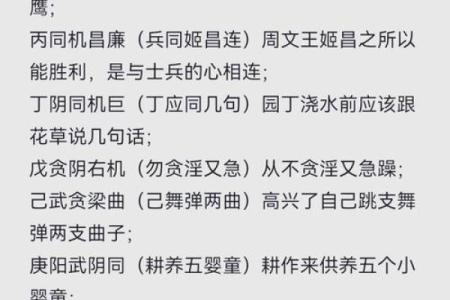 紫微斗数之四化论断法详释：四化详释