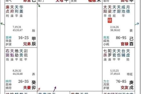 紫薇斗数紫薇分宫论