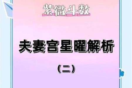 紫微斗数诸星落诸宫之：天府星夫妻宫详解