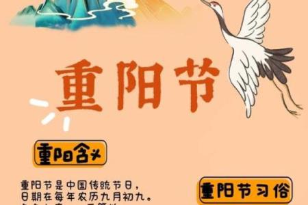 重阳节祭祀风水禁忌，一定要懂