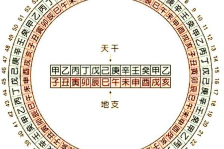 从零开始学八字（八）--十二地支（6）