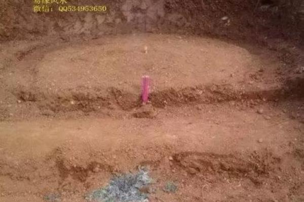 立丁山桂风水 立丁山桂风水