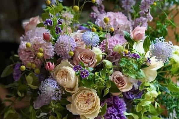 十二星座适合什么花最有灵性和灵感 十二星座适合什么花最有灵性和灵感