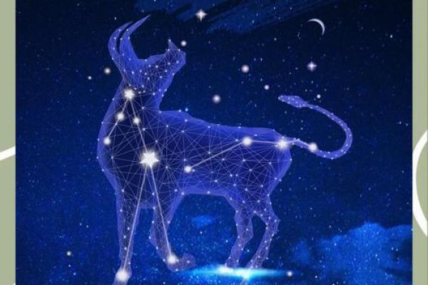 金牛座最适合什么星座的对象男 金牛座最适合什么星座的对象男