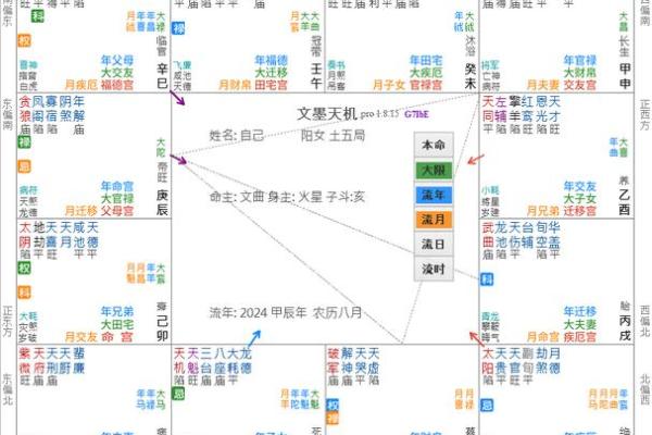 紫薇斗数疾病宫 紫薇斗数疾病宫