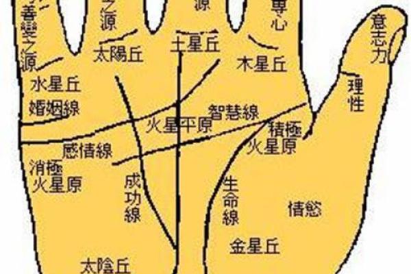手相算命图解事业线 手相算命图解事业线