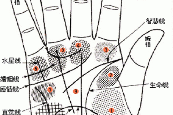 凯帝阿手相算命图解大全07 凯帝阿手相算命图解大全07