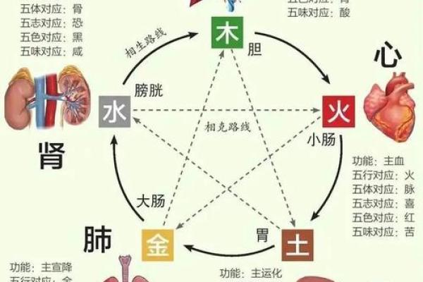 风水与人类健康,什么是风水病 风水与人类健康,什么是风水病